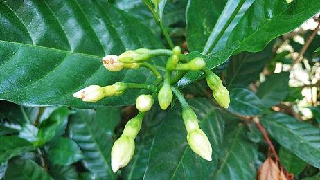 Level5宣布妖怪手表精神续作《Holy Horror Mansion》